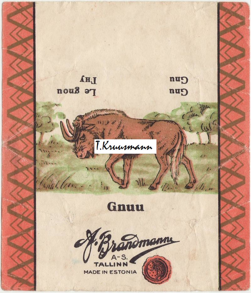 A_Brandmann_Tallinn_Gnuu