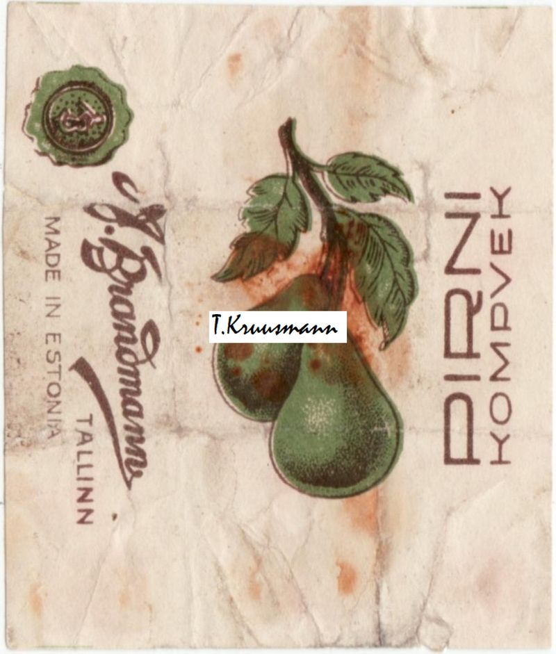 A_Brandmann_Tallinn_Pirni_kompvek