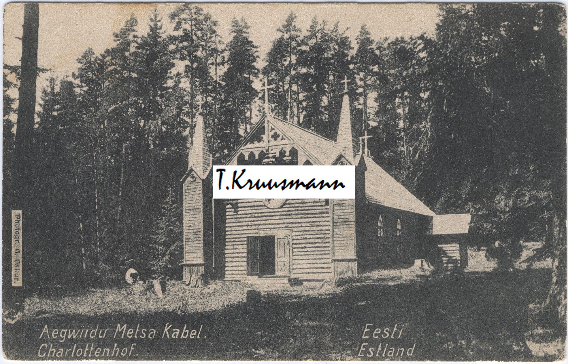 Aegwiidu_Metsa_Kabel