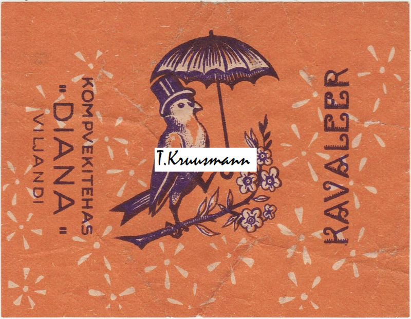 Diana_Viljandi_Kavaleer_oranž