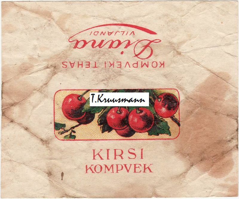 Diana_Viljandi_Kirsi_kompvek