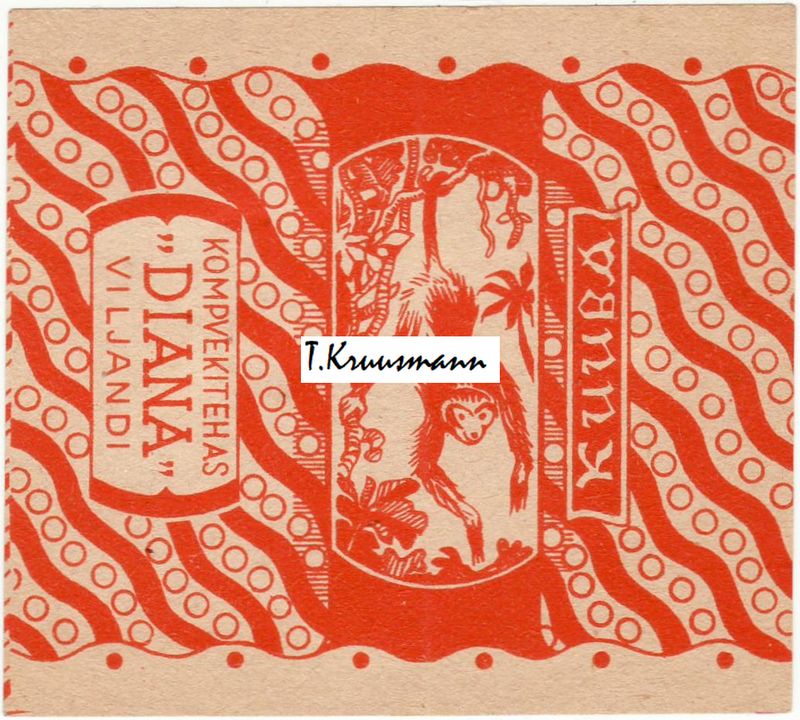 Diana_Viljandi_Kuuba_oranž