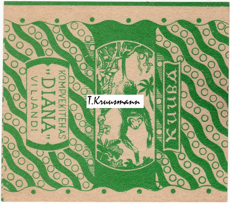 Diana_Viljandi_Kuuba_roheline