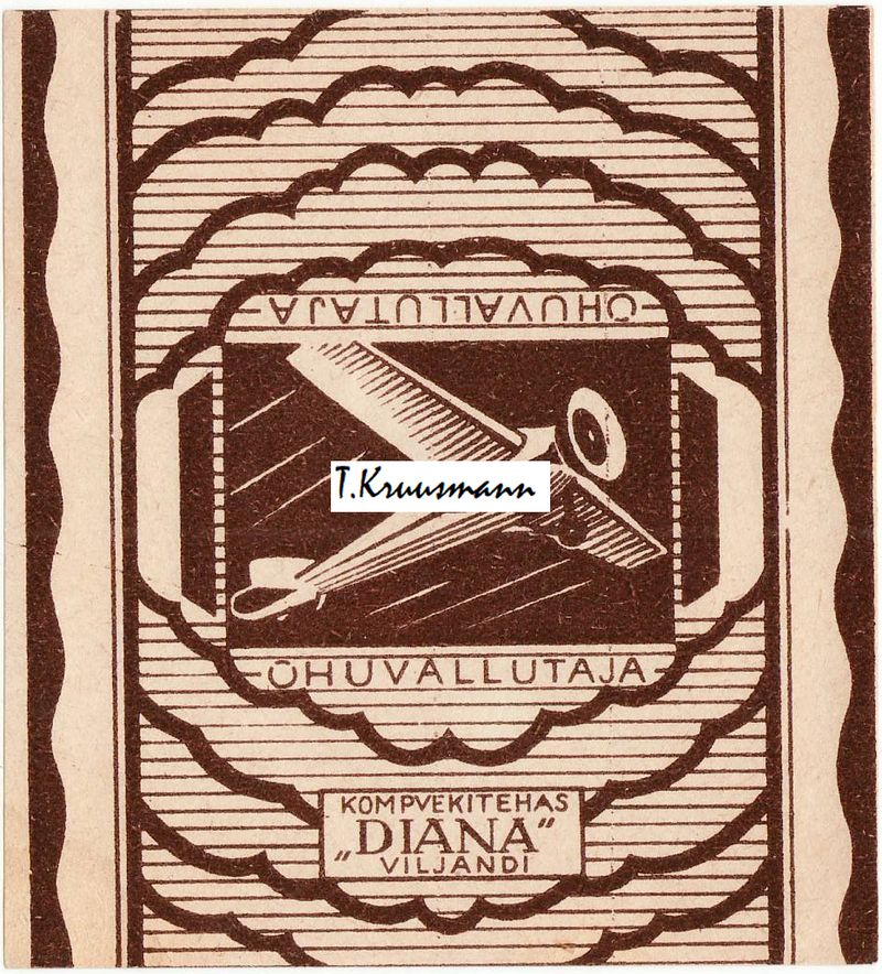 Diana_Viljandi_Õhuvallutaja_pruun