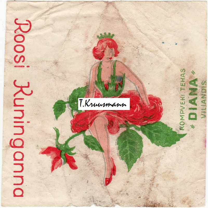 Diana_Viljandis_Roosi_Kuninganna