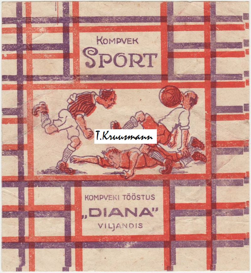 Diana_Viljandis_Sport