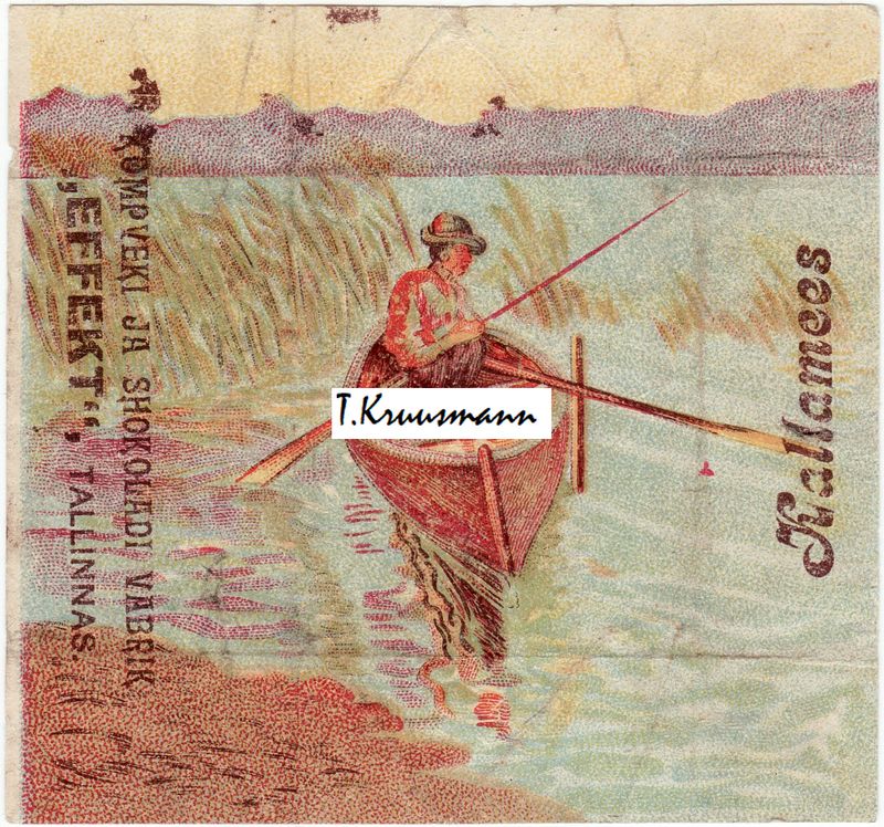 Effekt_Tallinnas_Kallamees