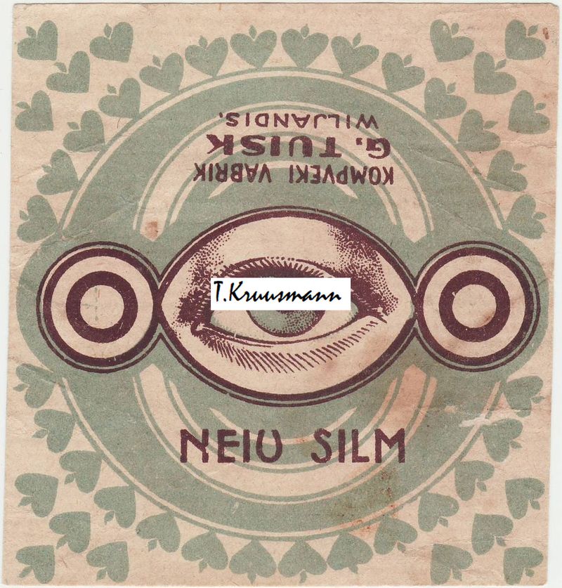 G_Tuisk_Viljandi_Neiu_silm