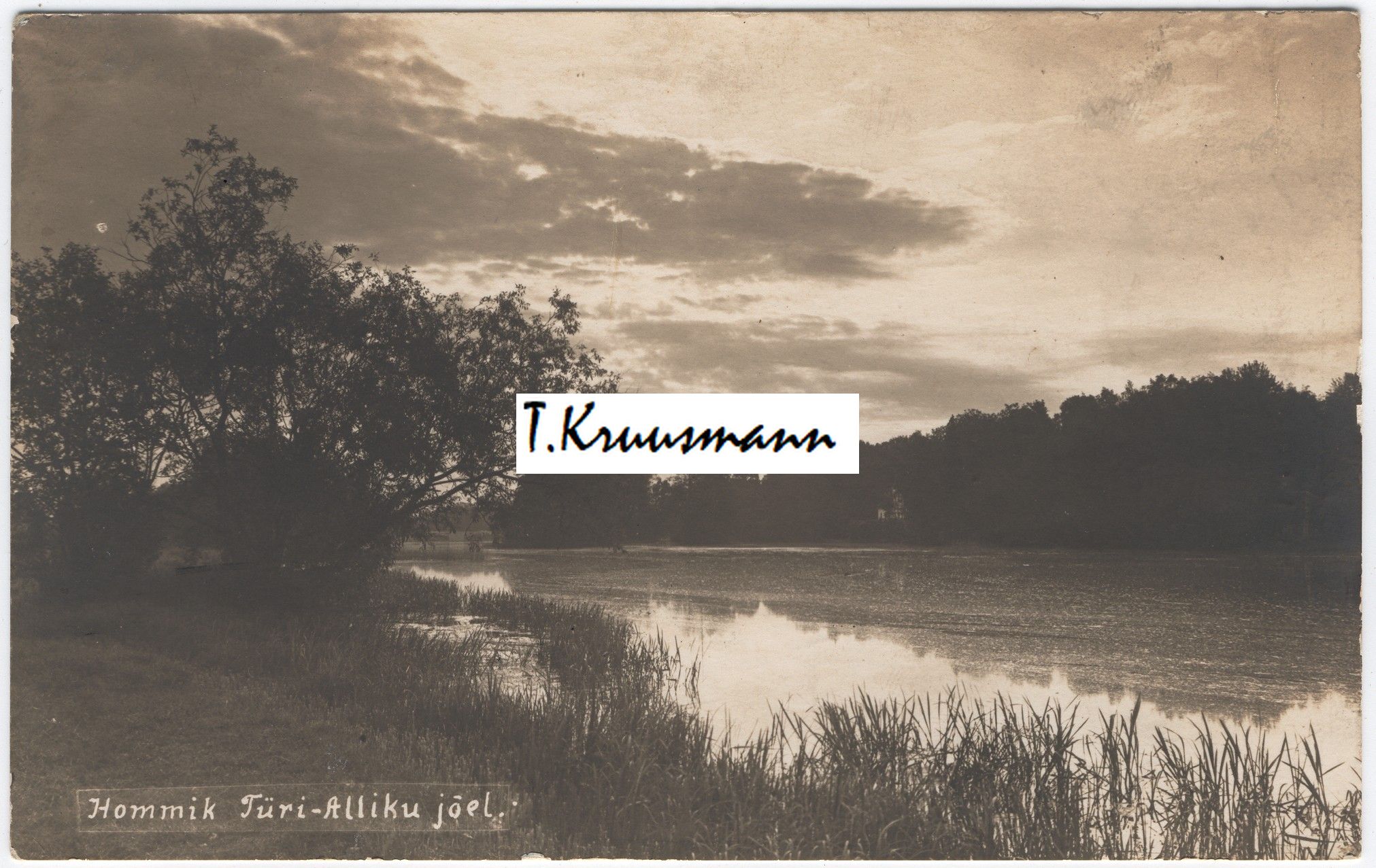 Hommik_Türi-Alliku_jõel