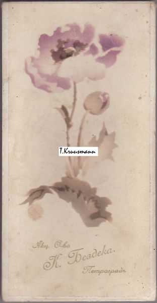 K_Bezdeka_Petrograd_pappkarp_tulemus