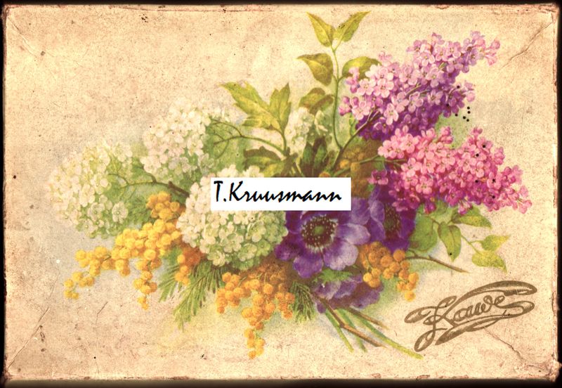 Kawe_kommikarp_No1058_tulemus