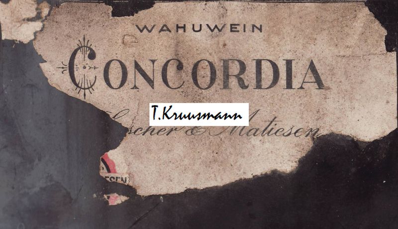 Luscher_ja_Matiesen_Tallinn_Concordia_pudelil