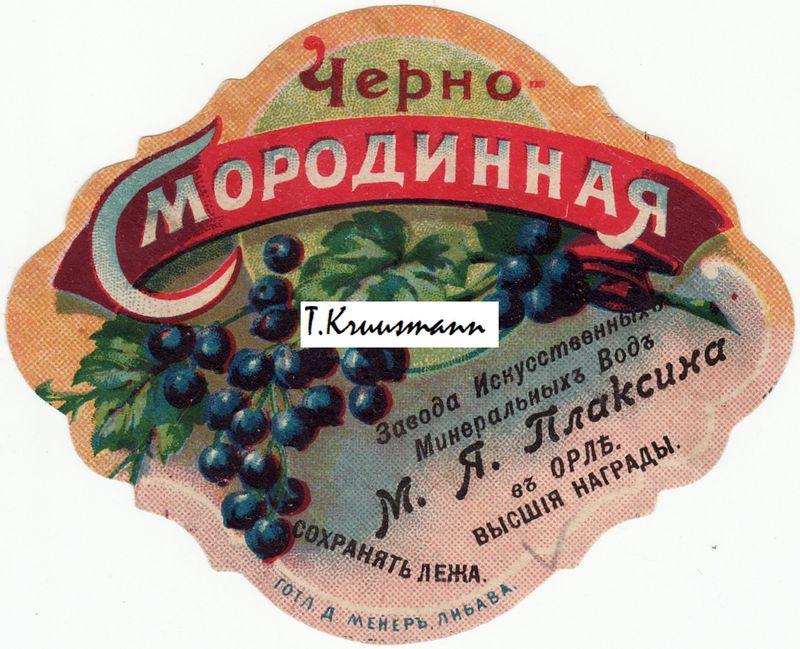 M_Ja_Plaksina_v_Orle_Tšerno_Smorodinnaja