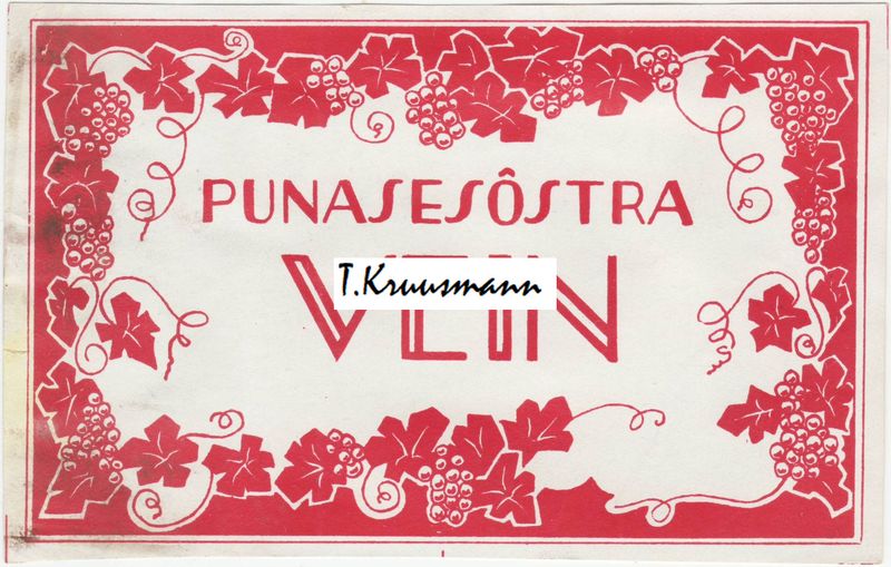 Punasesõstra_vein