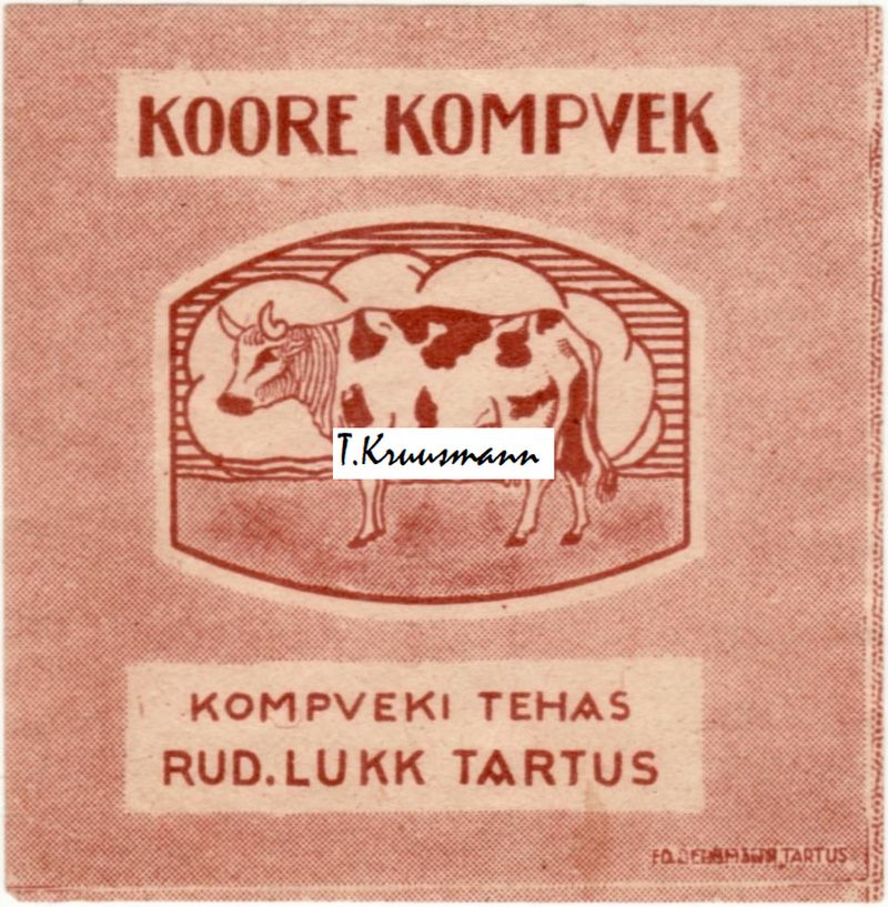 Rud_Lukk_Tartus_Koore_kompvek