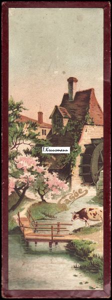 Sasoe_pappkarp_vesiveskiga_tulemus