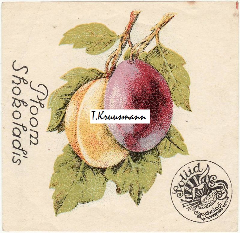 Soliid_Ploom_Shokoladis