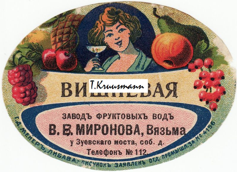 V_V_Mironova_Vjazma_Višnevaja