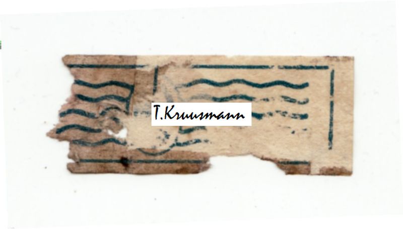 Vellamo_Sidrunhappe_jook_panderoll2