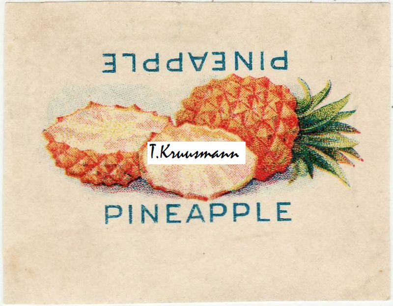 WWW_Pineapple