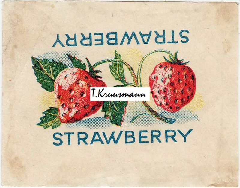 WWW_Strawberry