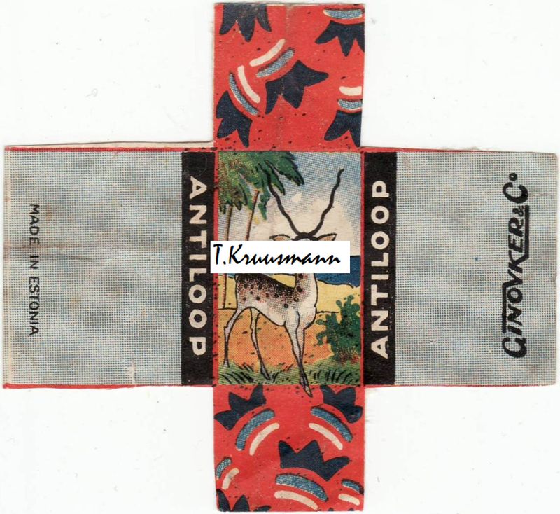 X_GinovkerCo_Tallinn_Antiloop