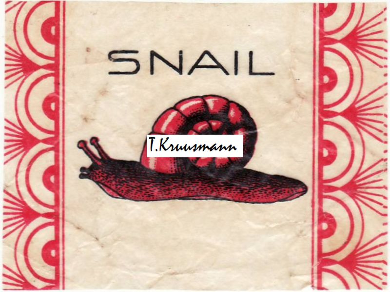 X_Snail