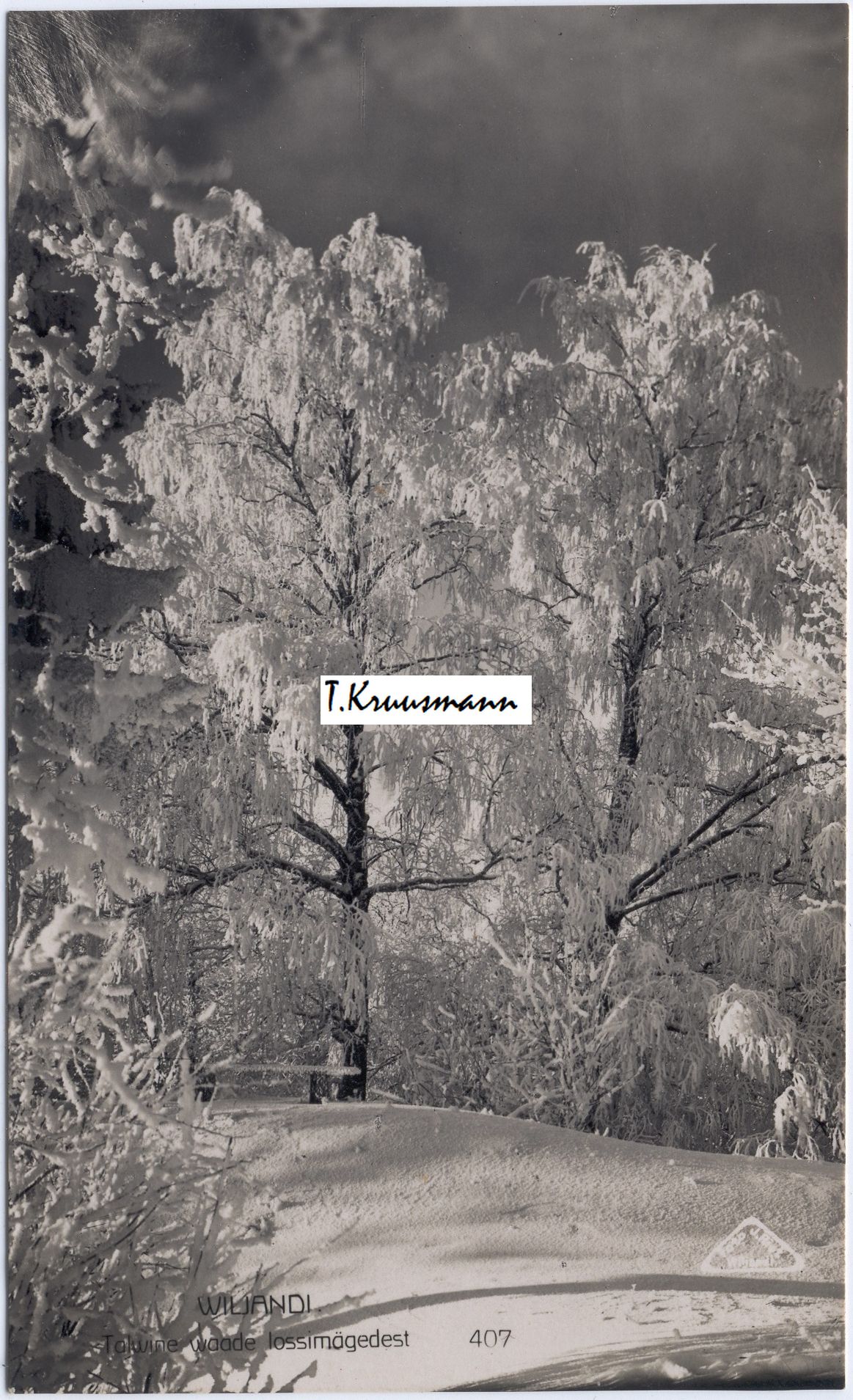 YYY_407_Talwine_waade_lossimägedest