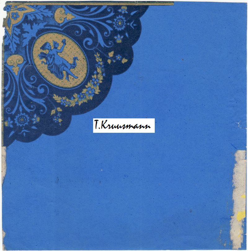 Y_tüdruk_ümarnurk_sinine