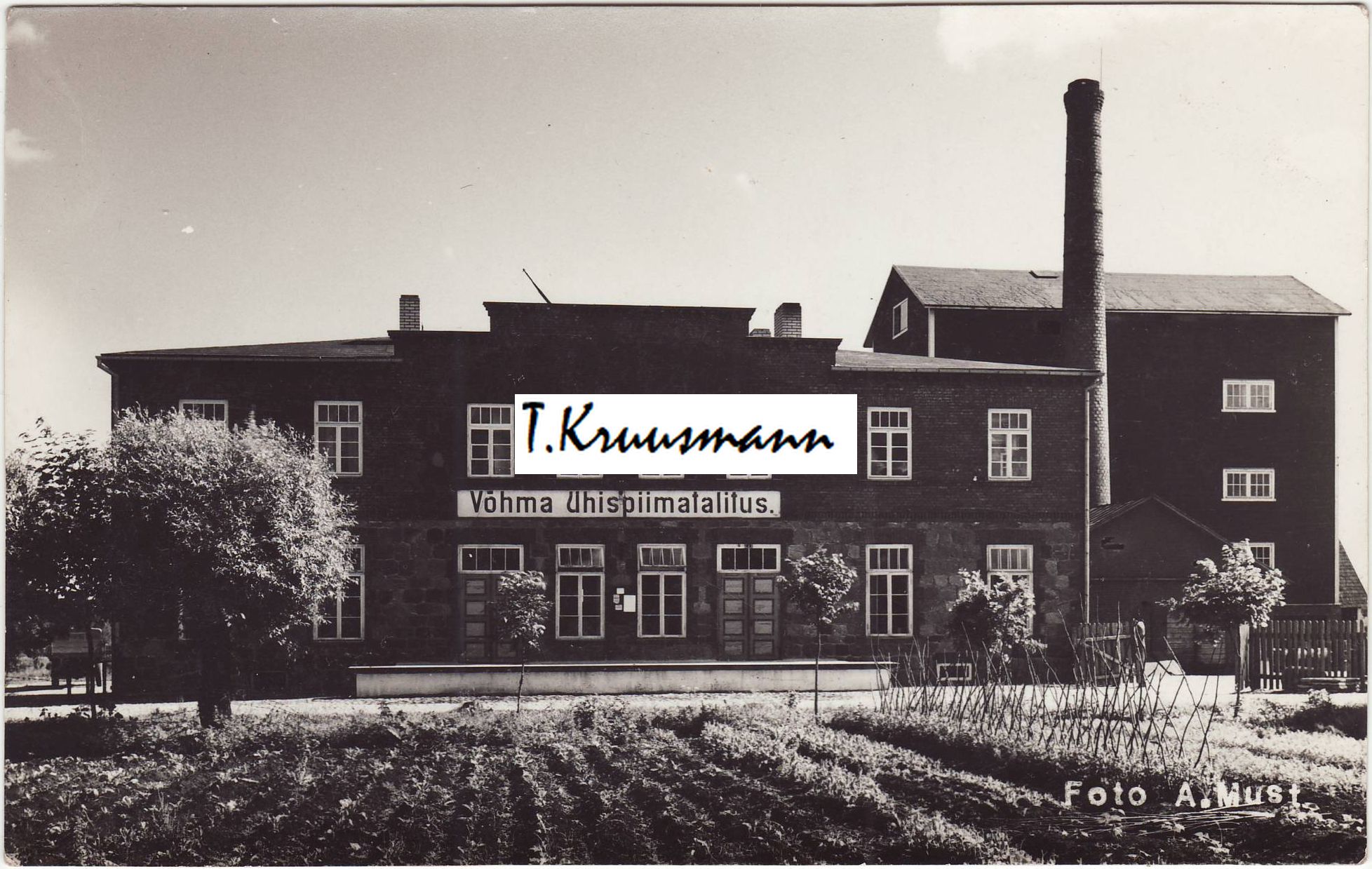 Ühispiimatalitus_3_mtg2i7Q